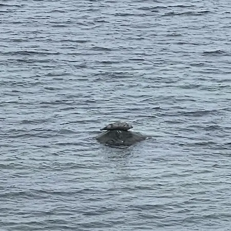 Appartement Mp 2 Leuchtturm *