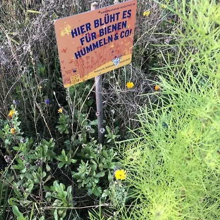 Mp 2 Leuchtturm Appartement *